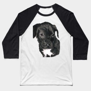 Shy black labrador pup... Baseball T-Shirt